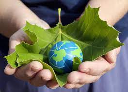 Environmental Sustainability: 10 Eco Friendly Products That Are Making a  Difference | NuEnergy